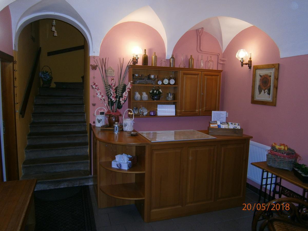 Penzion Koudela Ceska Kamenice Exterior photo